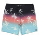 Billabong Ανδρικό μαγιό Sundays Pro 19" - Printed Board Shorts for Men